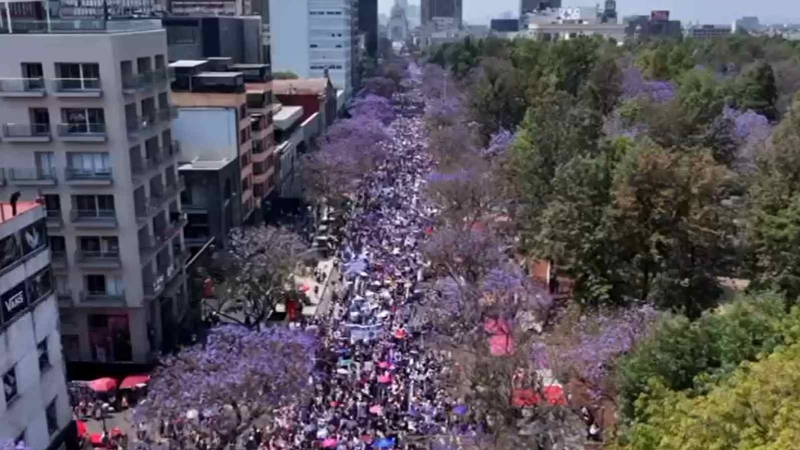 Asistencia a la marcha del 8M. Foto: N+