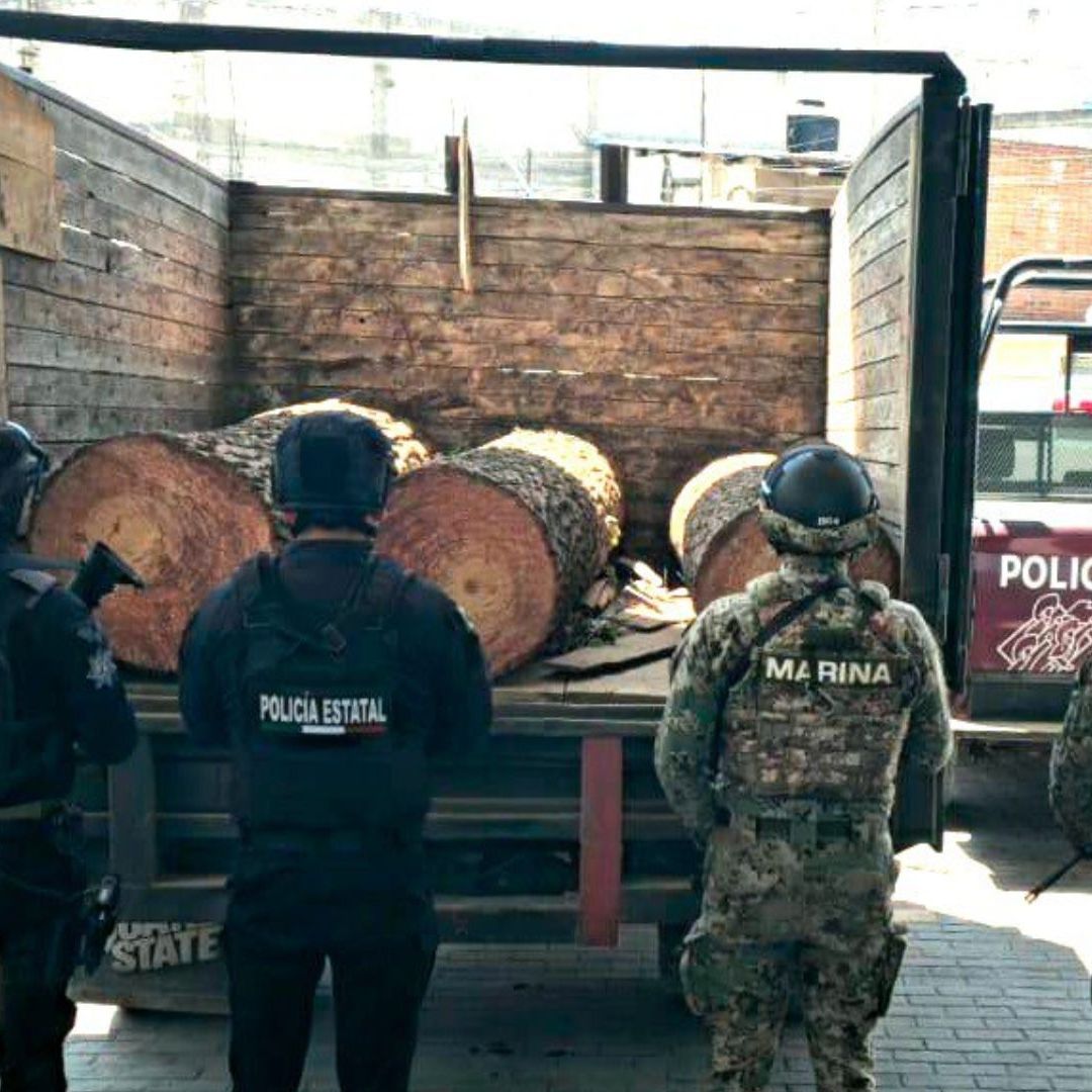 Asegurada Camioneta Troncos Talados Ilegalmente San Felipe Teotlalcingo Puebla