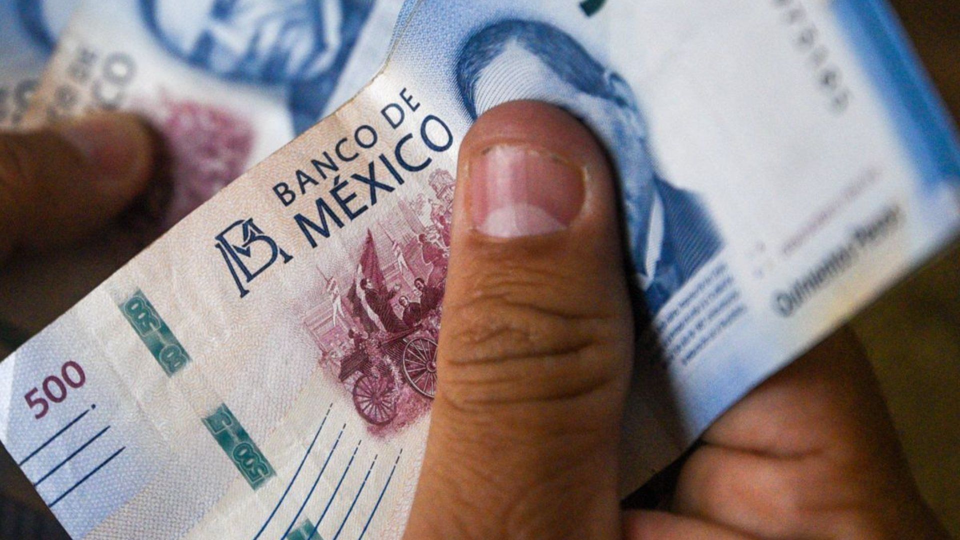 ¿Se Adelanta la PTU? A Partir de Este Día de 2026 Empieza a Caer el Reparto de Utilidades