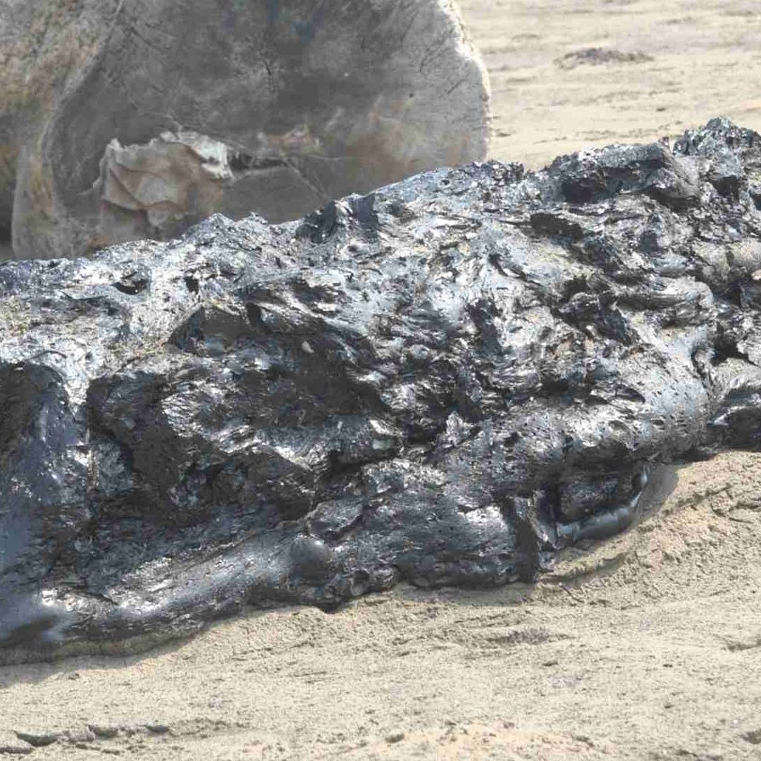 Pescadores de Sontecomapan al Sur de Veracruz Reportan Hidrocarburo Solidificado en la Costa Catemaco Los Tuxtlas