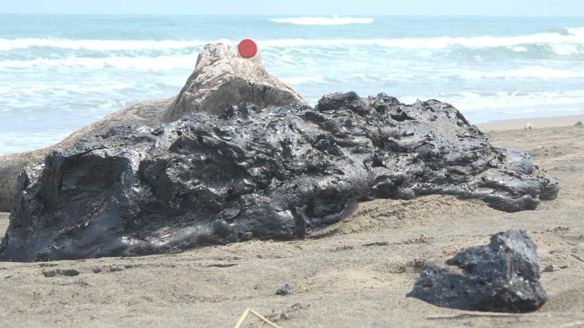 Derrame de Hidrocarburo en Veracruz Cómo Afecta al Ecosistema Marino en Tatahuicapan Mecayapan y Coatzalcos Expertos Explican