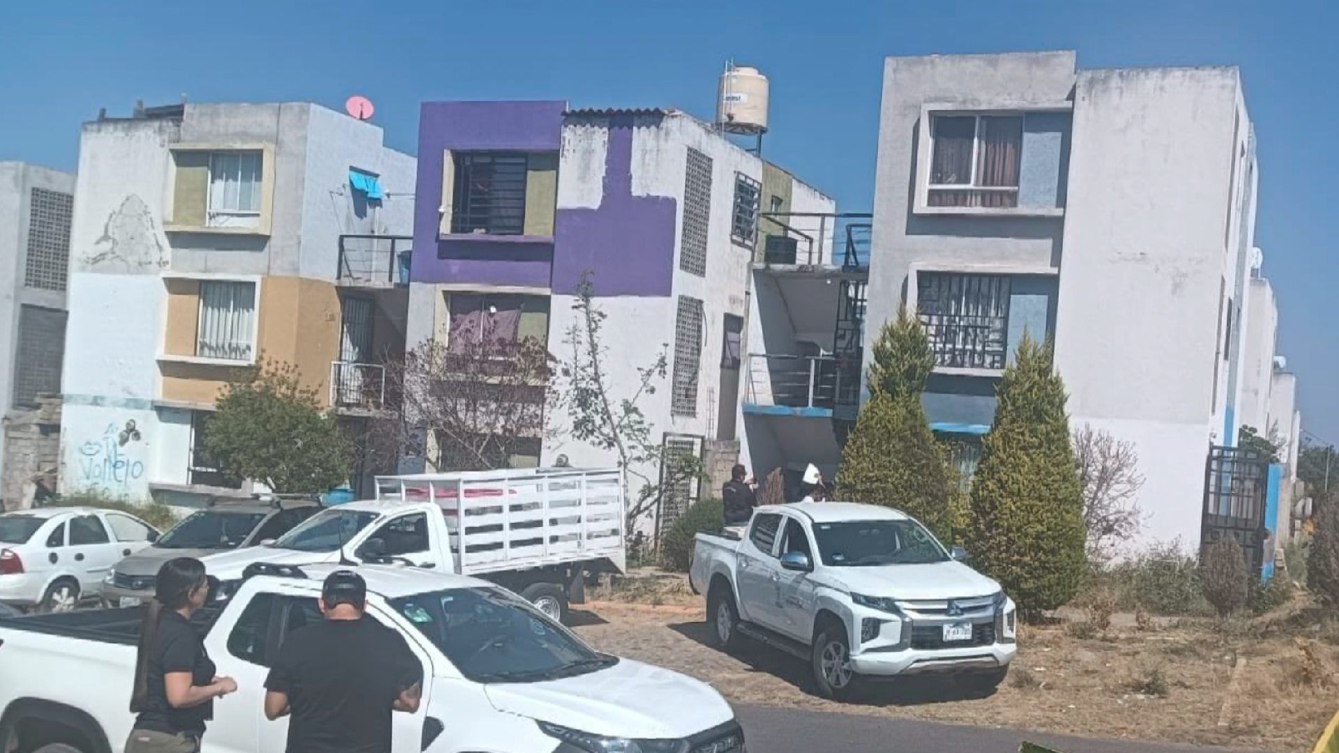 Encontraron a un grupo de perros en abandono en Zapopan
