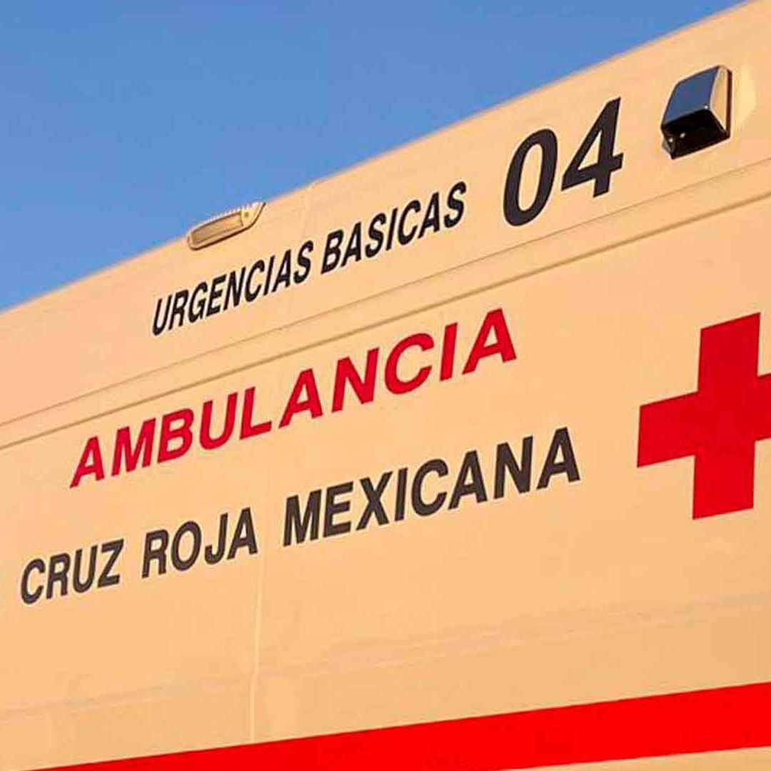 Perro Pastor Belga Ataca a Niña Mientras Jugaba con Él en Coahuila