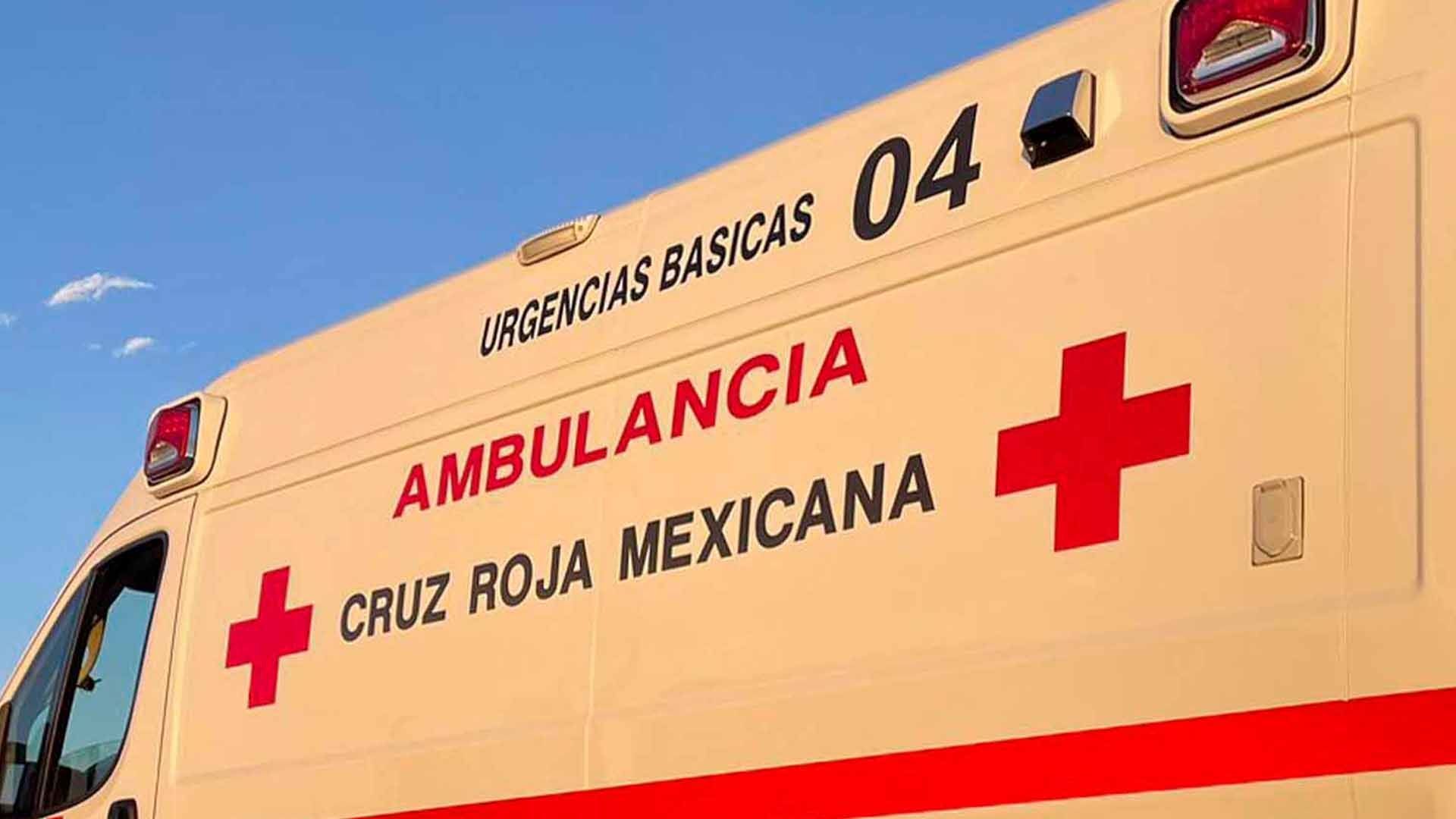Perro Pastor Belga Ataca a Niña Mientras Jugaba con Él en Coahuila