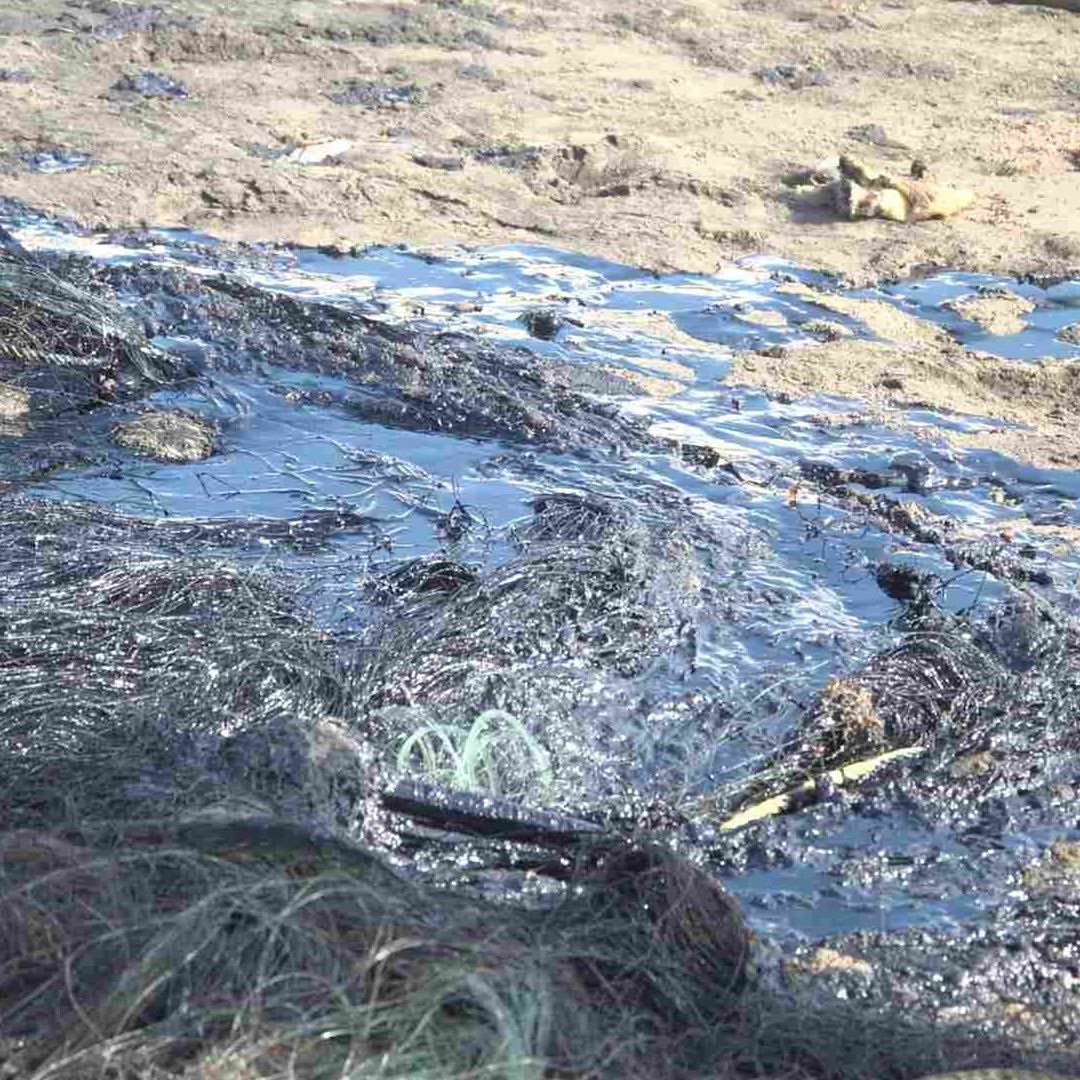 Municipios Afectados Derrame Hidrocarburo Veracruz Lista Lugares Donde Extendió Mancha Negra