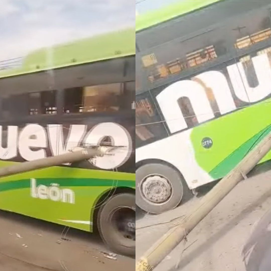 Ruta 223 Evolución