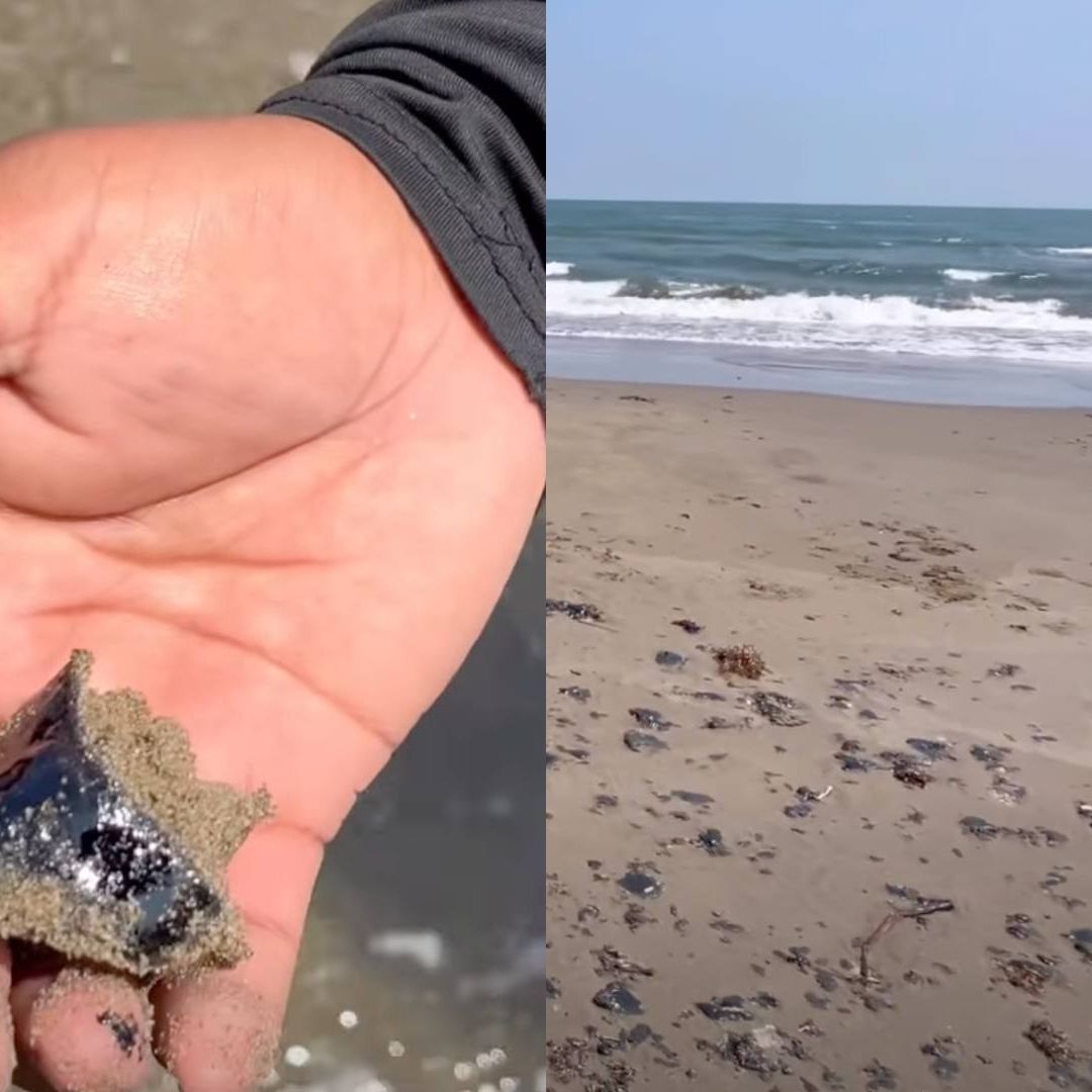 Qué se Sabe Derrame de Hidrocarburos en Playa Pajapan Veracruz Autoridades Medio Ambiente Investigan PEMEX