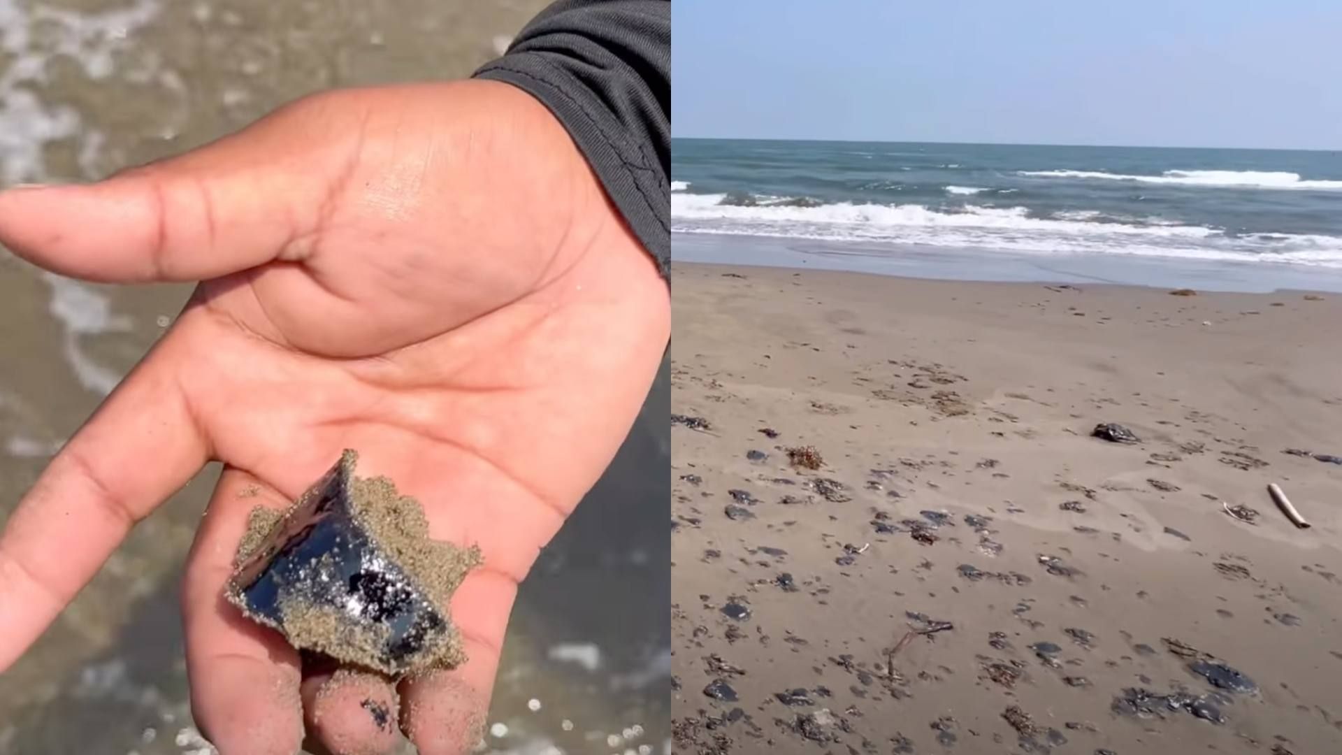 Qué se Sabe Derrame de Hidrocarburos en Playa Pajapan Veracruz Autoridades Medio Ambiente Investigan PEMEX
