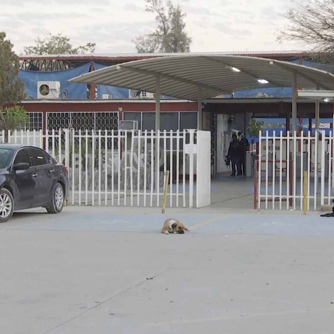 Suspenden Clases en CBTIS 4 por Amenazas de Tiroteo en Lerdo