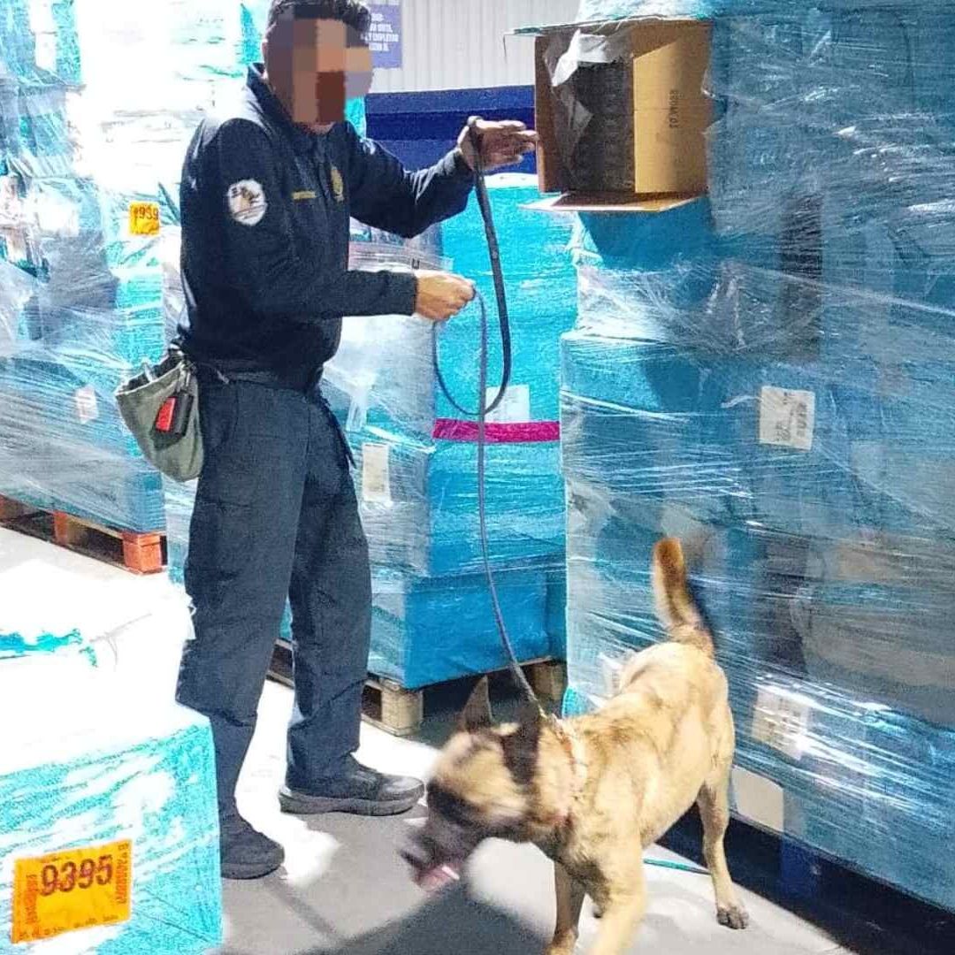 Marina Asegura Más de Una Tonelada de Cigarros de Procedencia lícita en el AICM