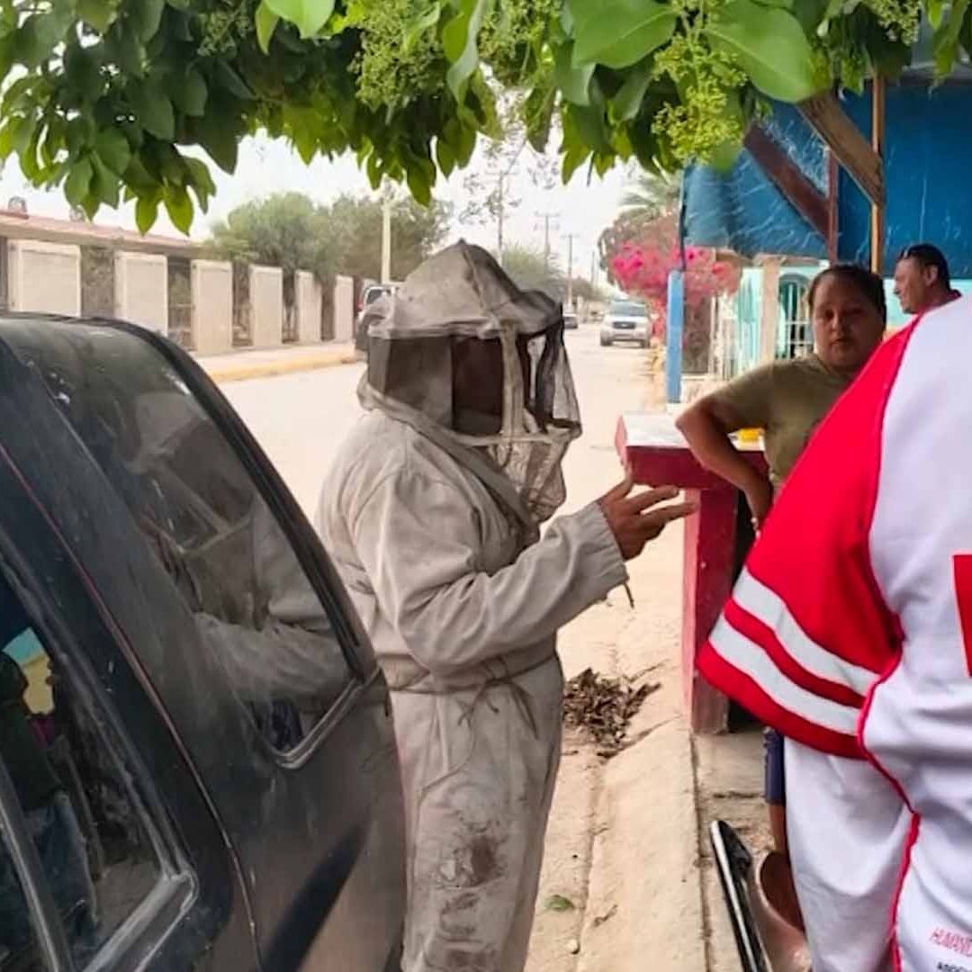 Enjambre de Abejas Ataca a Habitantes en Ejido de Viesca