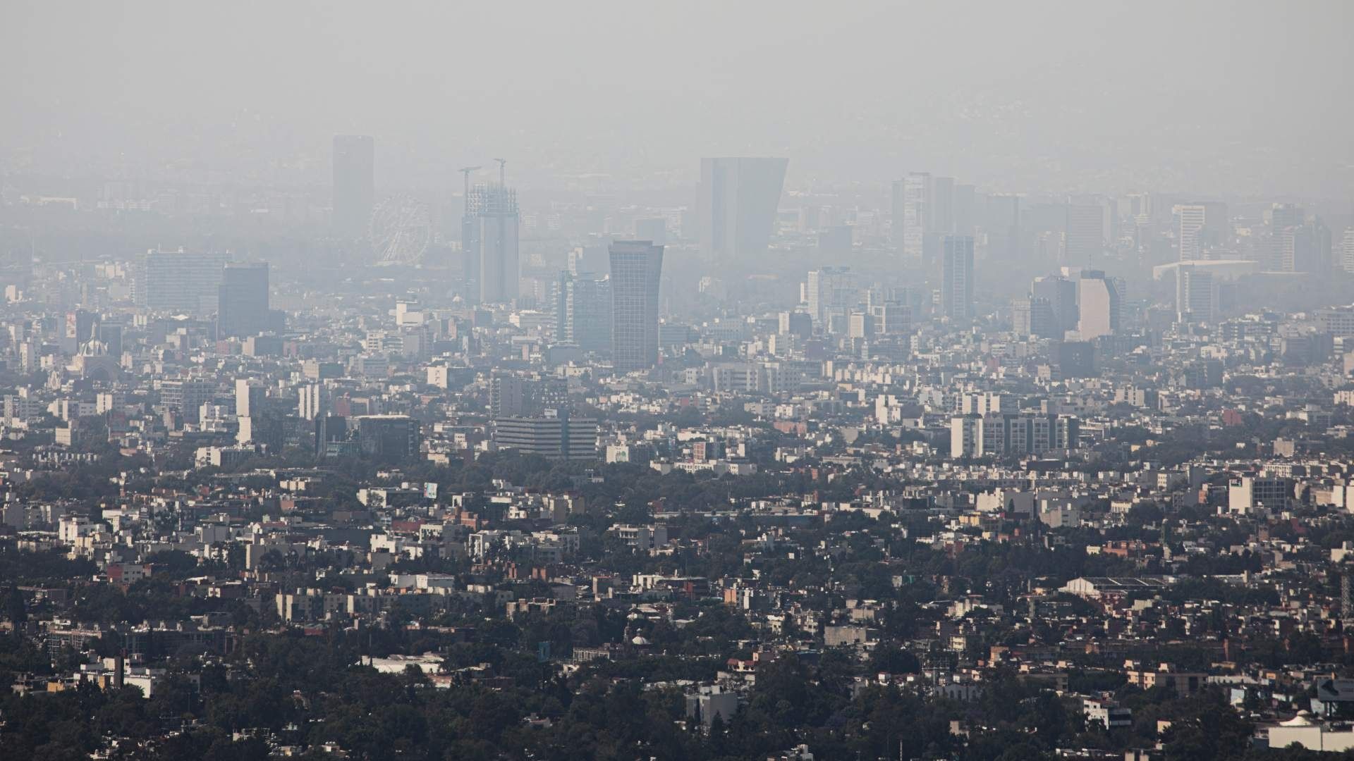 Calidad del aire en la Ciudad de México