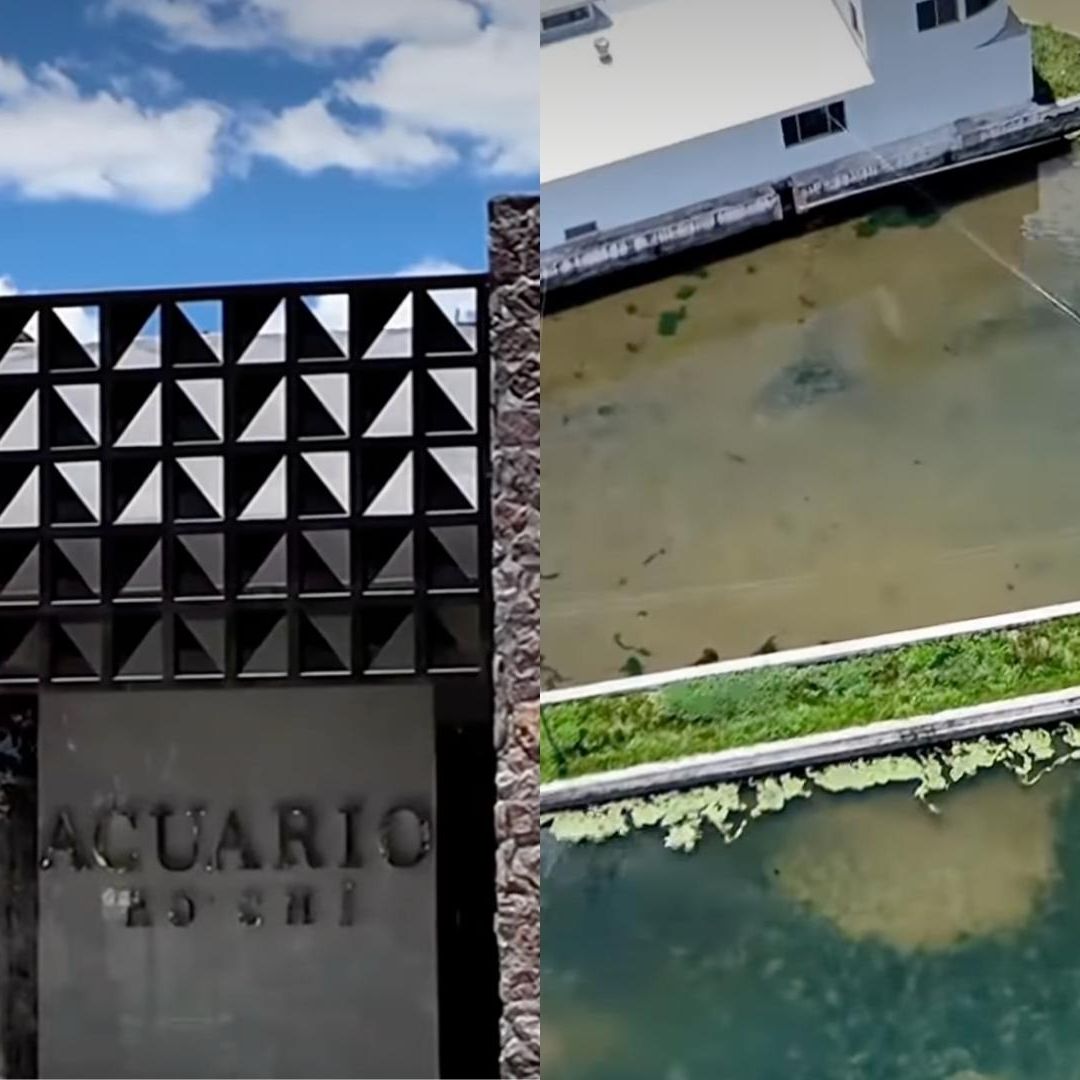Guachochi Tendrá el Primer Acuario del Estado de Chihuahua; ¿Cuándo lo Inauguran?