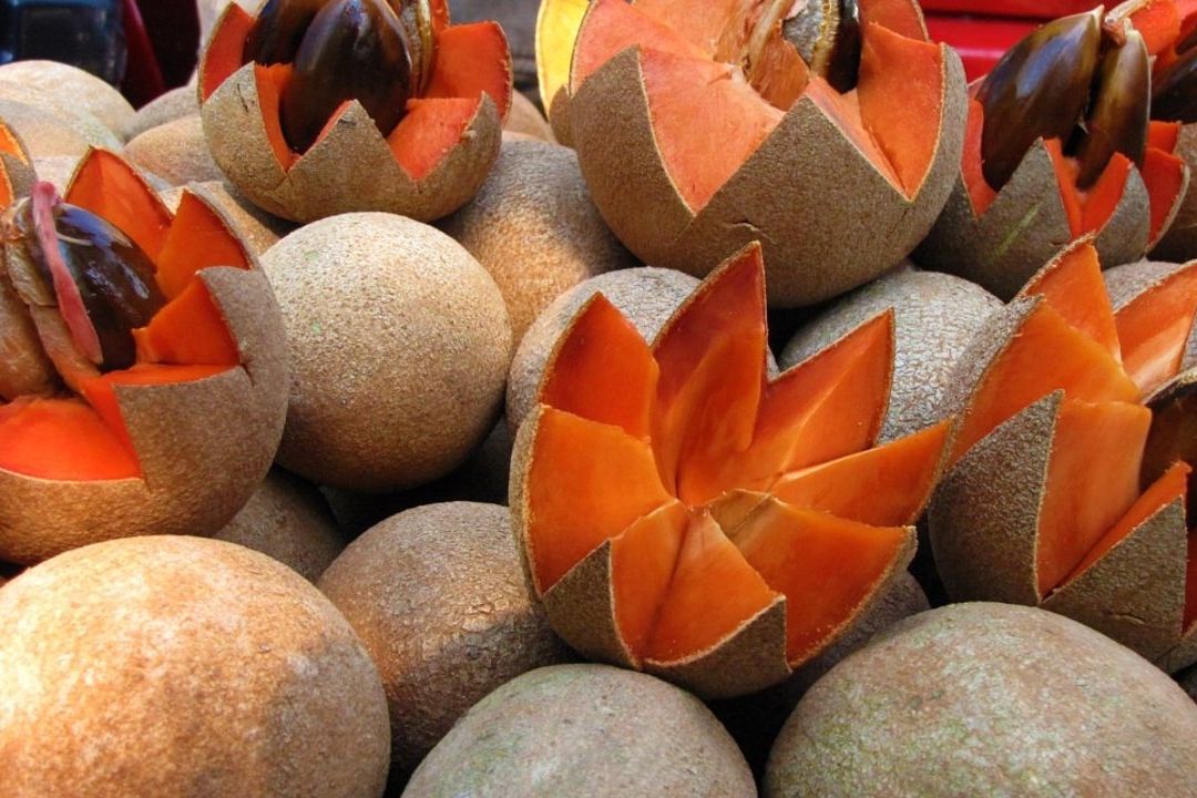 Estos trucos te ayudarán a saber si el mamey está listo para comerse