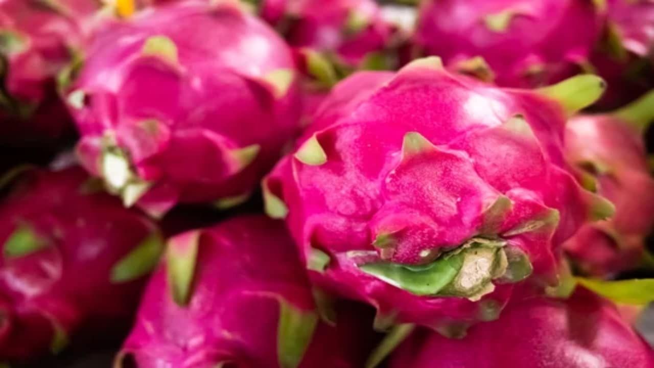 Pitaya y Pitahaya: ¿Cuál es la diferencia entre estas dos frutas?