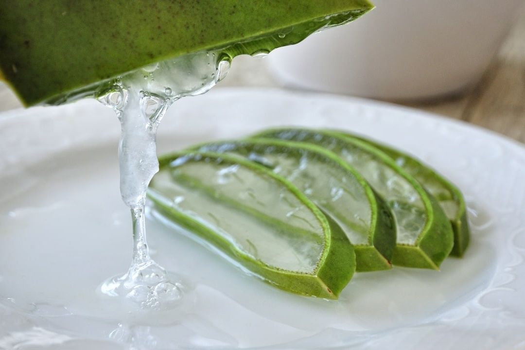 Así puedes hacer un gel antibacterial casero con aloe vera