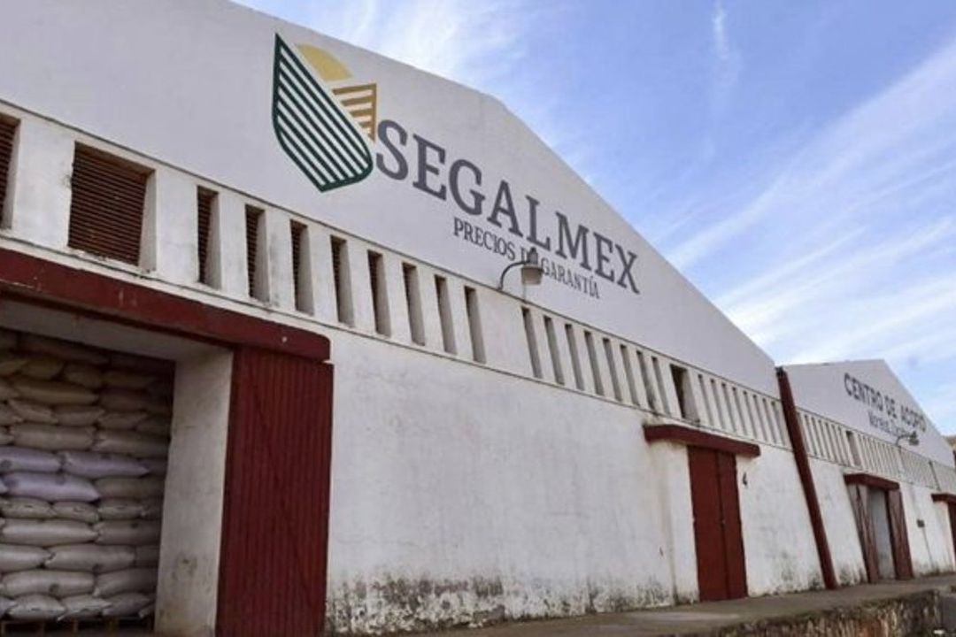 René “G” fue vinculado a proceso por la compra de certificados bursátiles con recursos de Segalmex