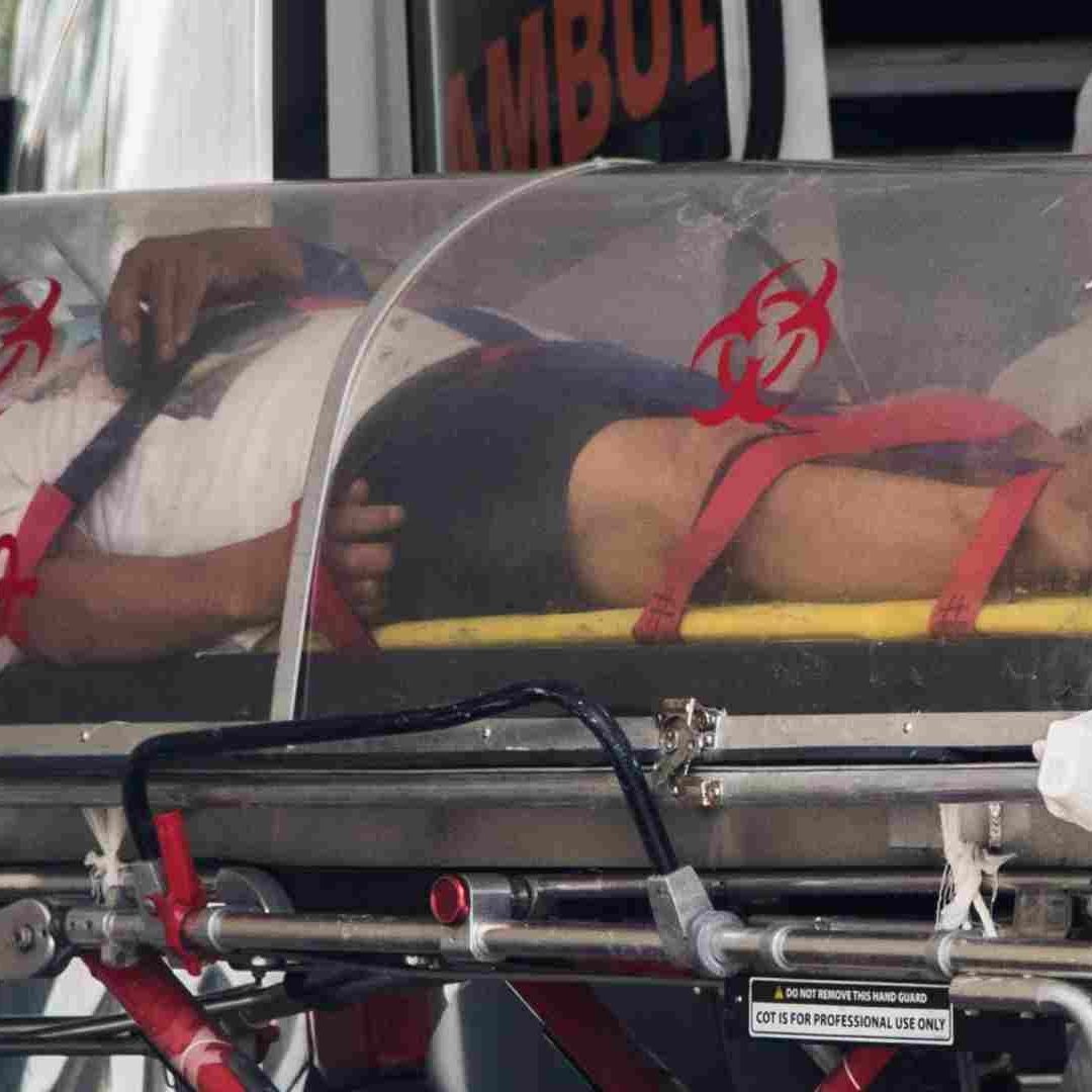 Estos son los síntomas del perro del infierno, de la nueva variante del COVID-19