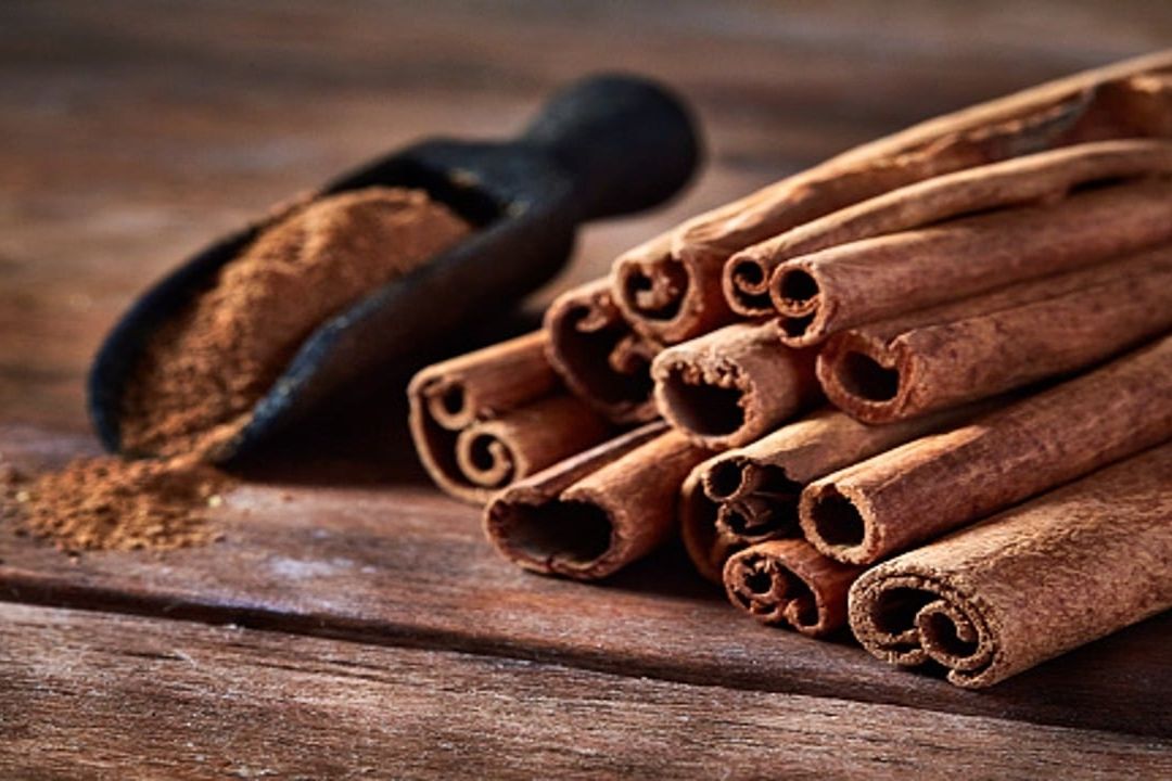 Pasos para cultivar tu propia planta de canela en una maceta