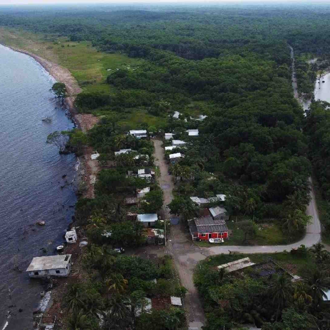 El Bosque, a punto de desaparecer por la crisis climática
