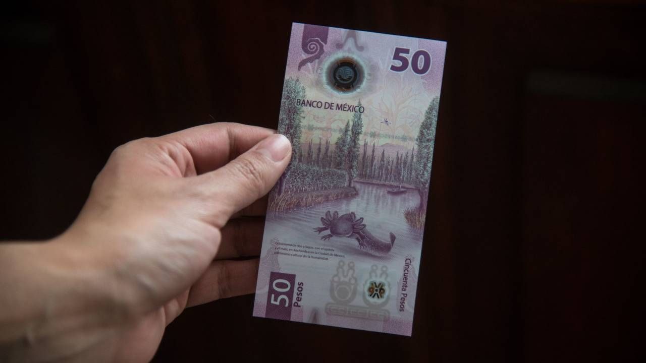 Estos son los elementos de seguridad para revisar si un billete es falso