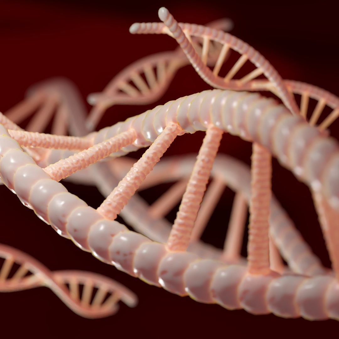 Imagen ilustrativa de una cadena de ADN humano