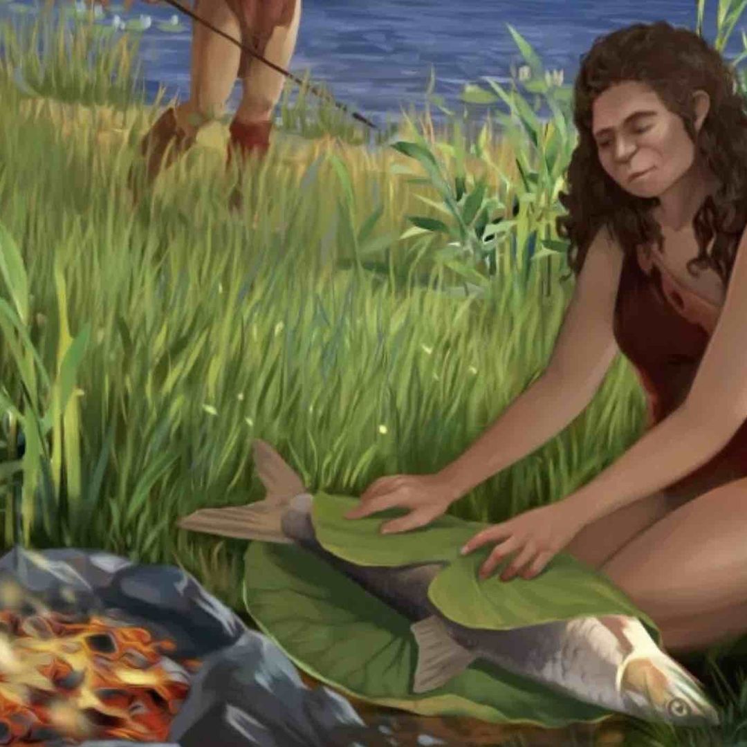 Ilustración de Homo Erectus cocinando pescado