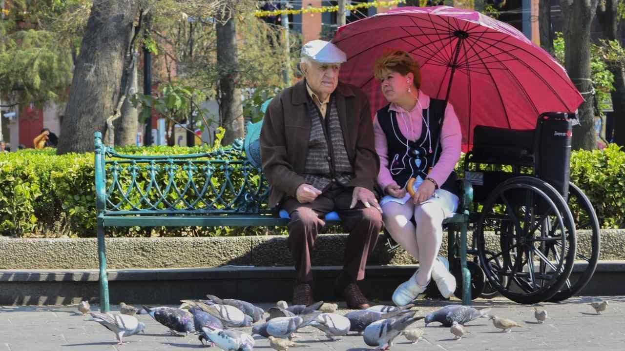 Los adultos mayores con credencial del INAPAM pueden recibir una despensa gratis.