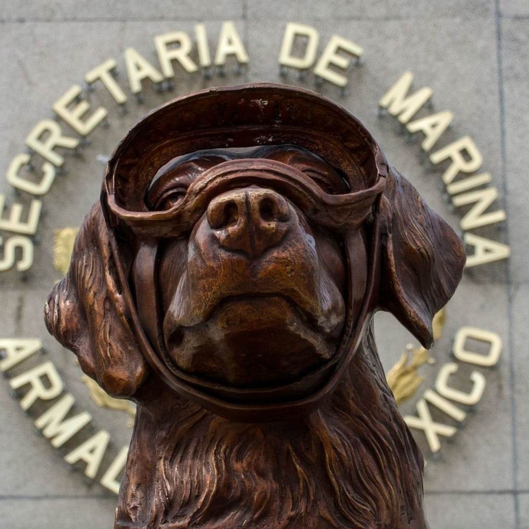 Frida se hizo famosa tras sus rescates en el sismo del 19 de septiembre del 2017
