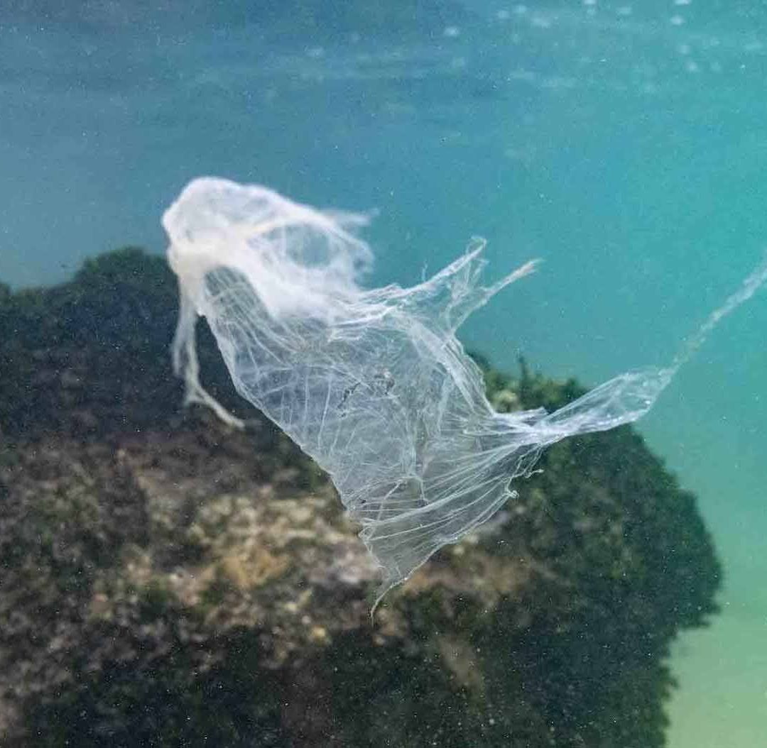 Cada Año Llegan al Mar 11 Millones de Toneladas de Plástico