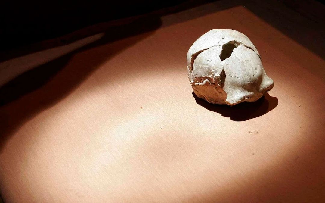 Cráneo de Homo erectus hallado en China