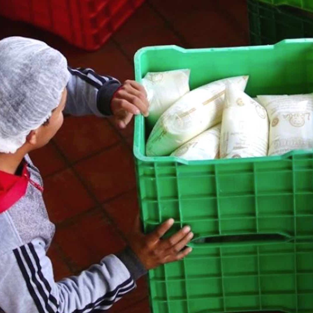 Estos son los pasos para tramitar la tarjeta de leche Liconsa en CDMX