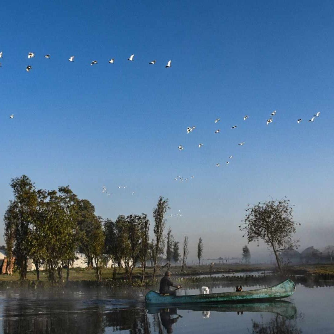 Amanecer con neblina en canales de Xochimilco, Ciudad de México