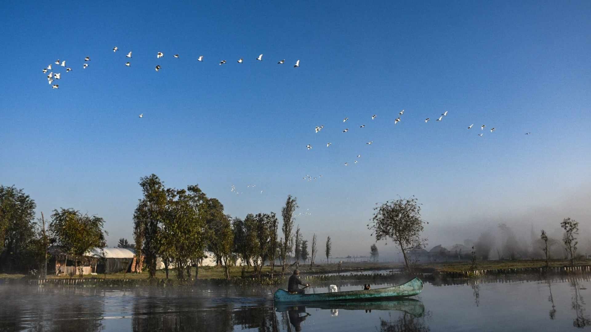 Amanecer con neblina en canales de Xochimilco, Ciudad de México