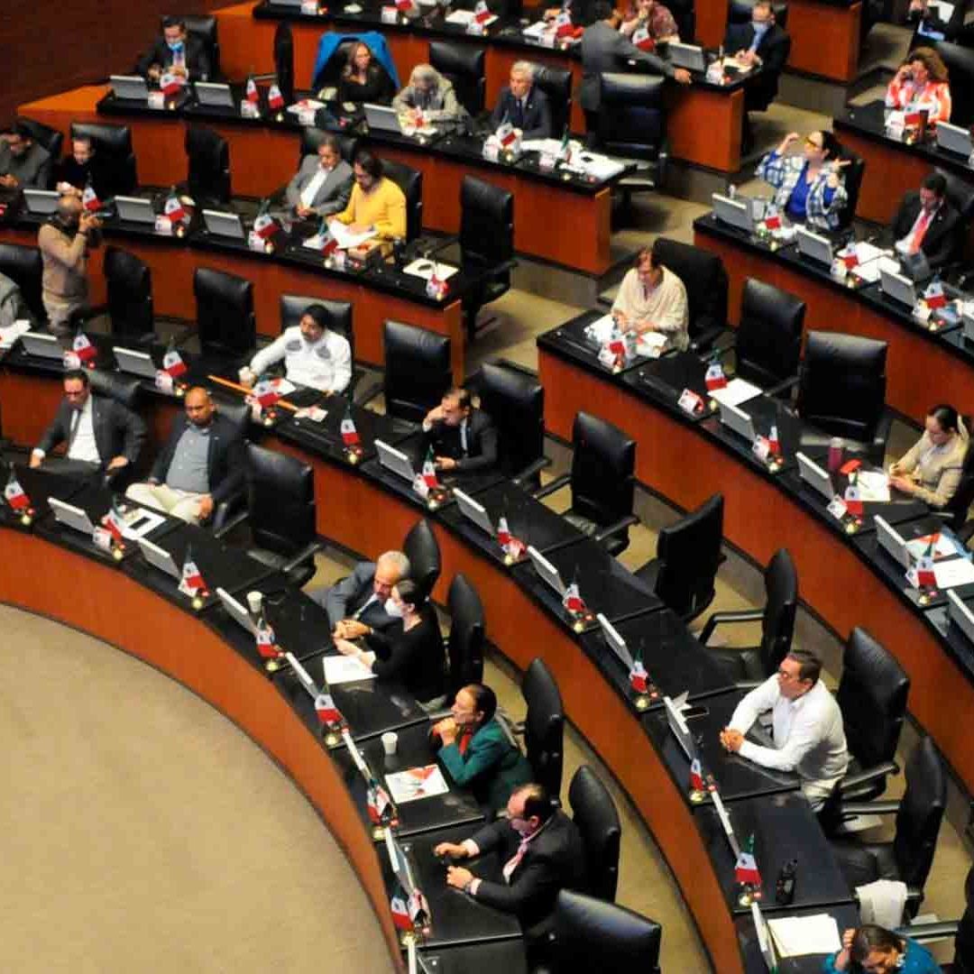 Pleno del Senado de la República durante sesión ordinaria