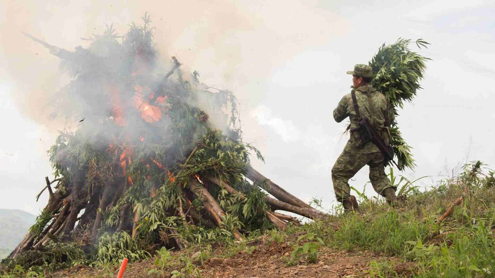 Un militar del Ejército incinera marihuana en Culiacán, Sinaloa