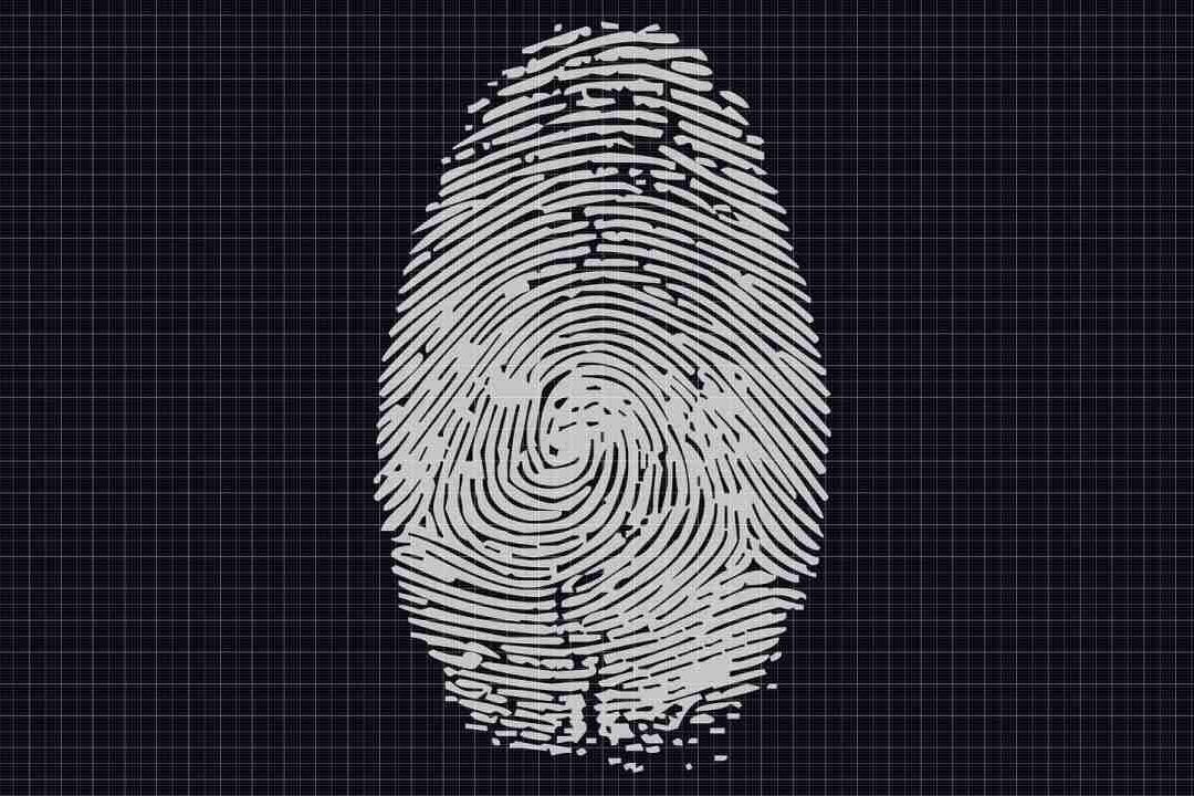 Expertos de España crearon un algoritmo que detecta riesgo de esquizofrenia  con el análisis de huellas digitales
