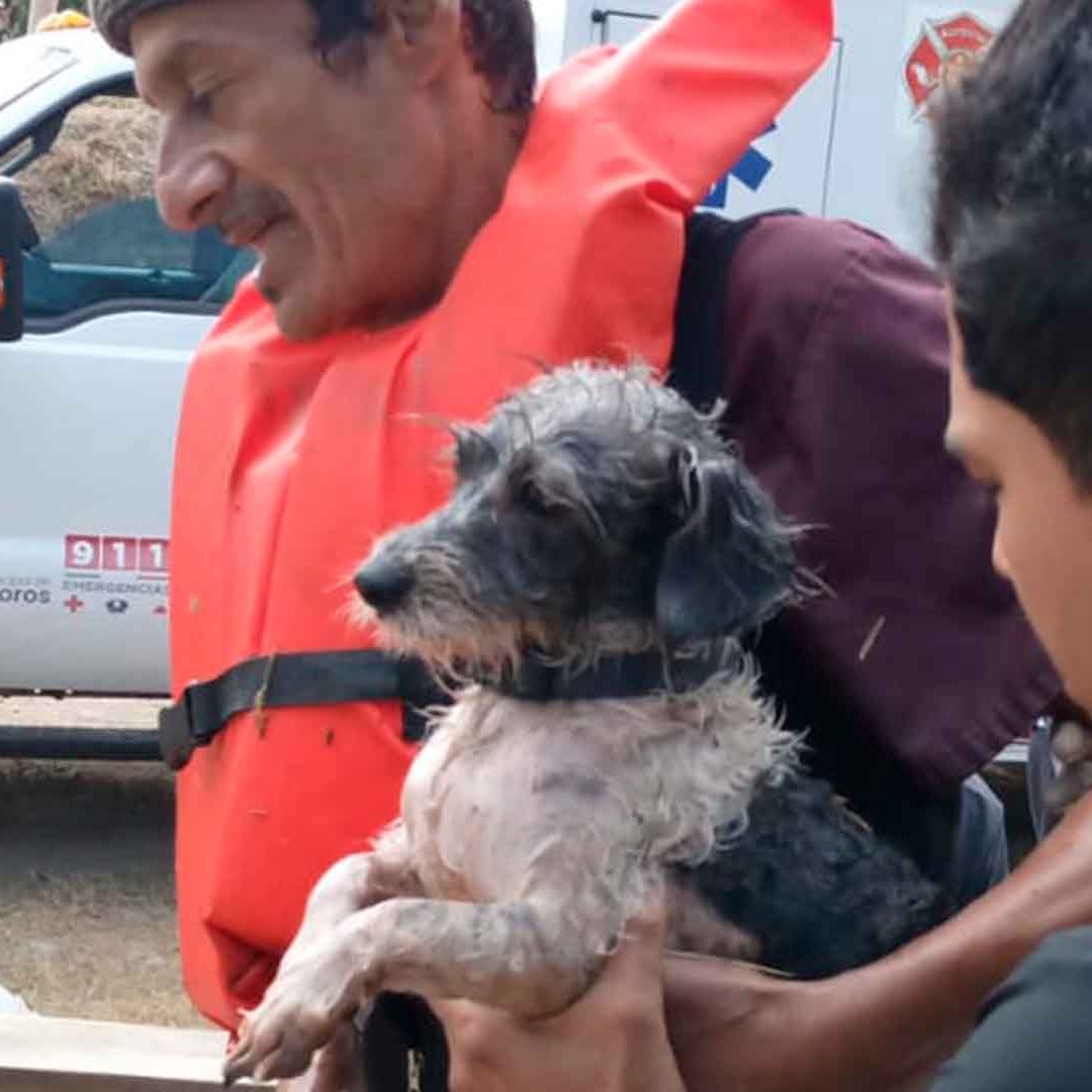 Rescatan a Dos Hombres que Quedaron Atrapados en el Río Bravo; Intentaban Salvar a un Perrito