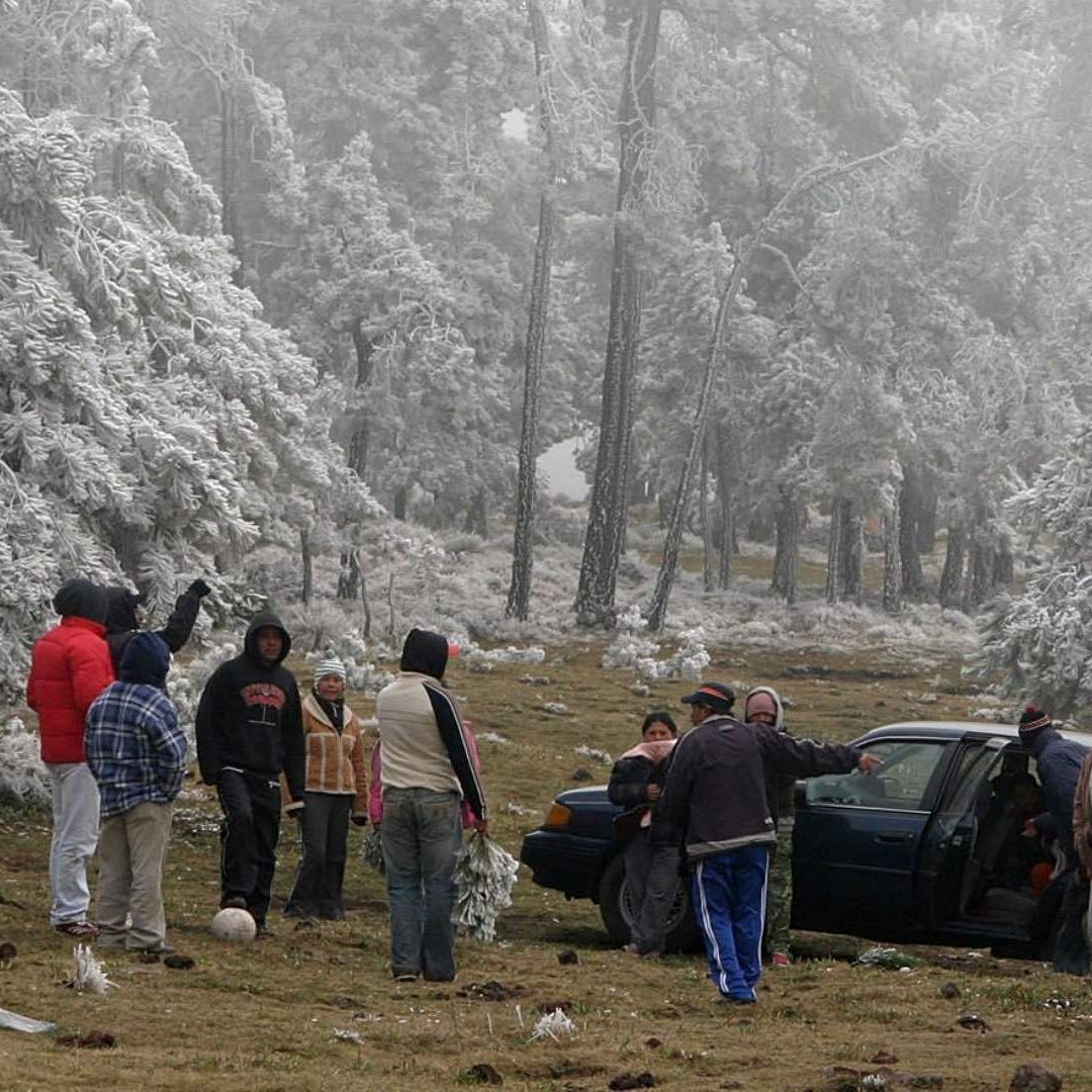 Frío Extremo: ¿Qué Temperatura se Debe Alcanzar para Activar Alerta Púrpura en CDMX?