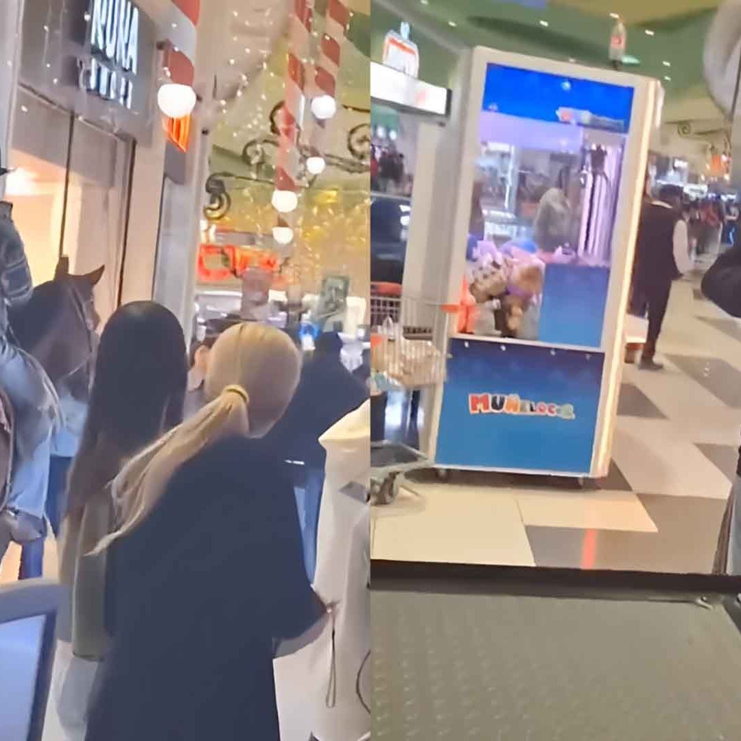 Video: Entra a Centro Comercial Montando su Caballo en Saltillo