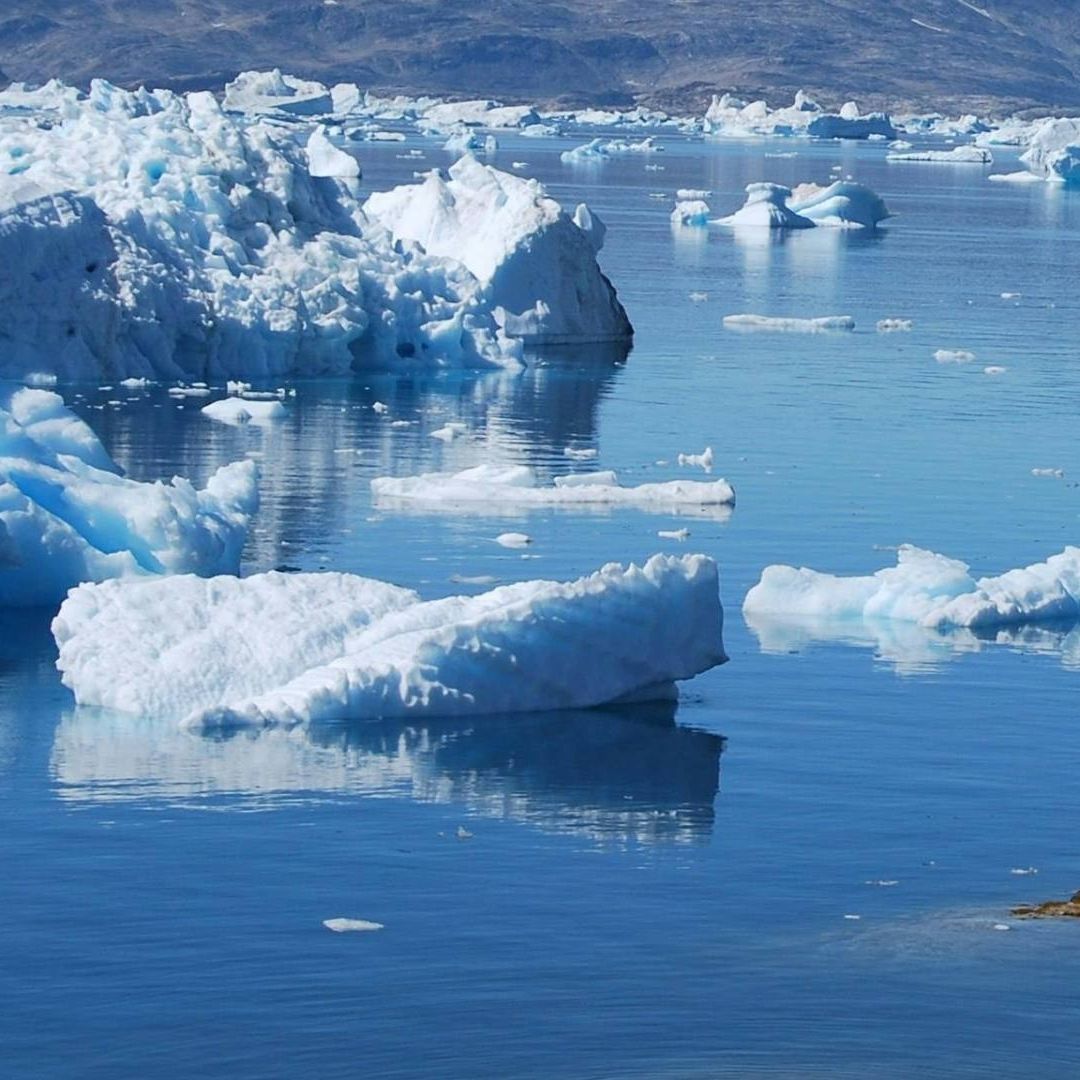 El Ártico se Puede Quedar Sin Hielo en 3 Años y Estas Serían las Consecuencias