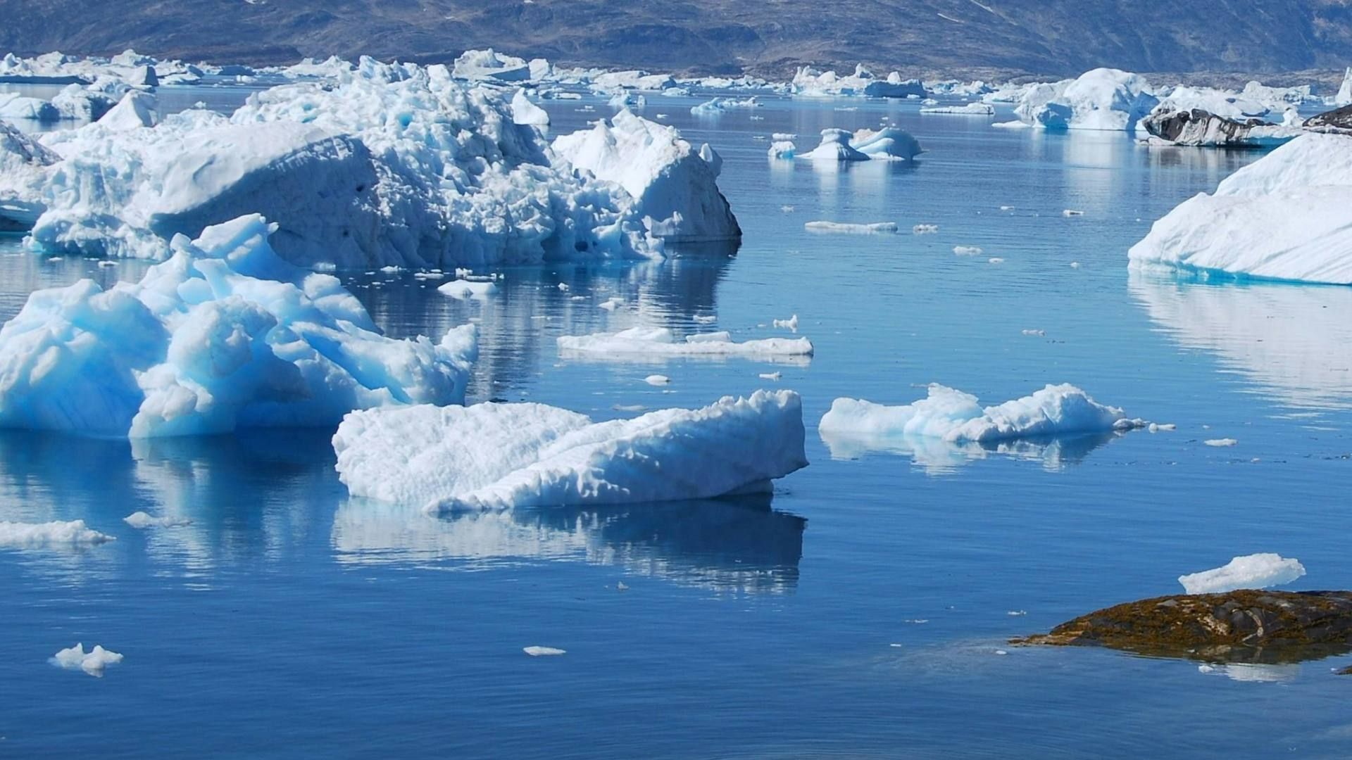 El Ártico se Puede Quedar Sin Hielo en 3 Años y Estas Serían las Consecuencias