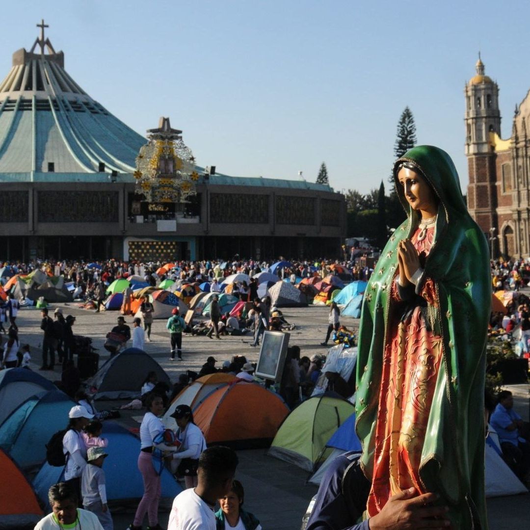 Operativo Basílica de Guadalupe 2024: Se espera llegada de 12 millones de peregrinos