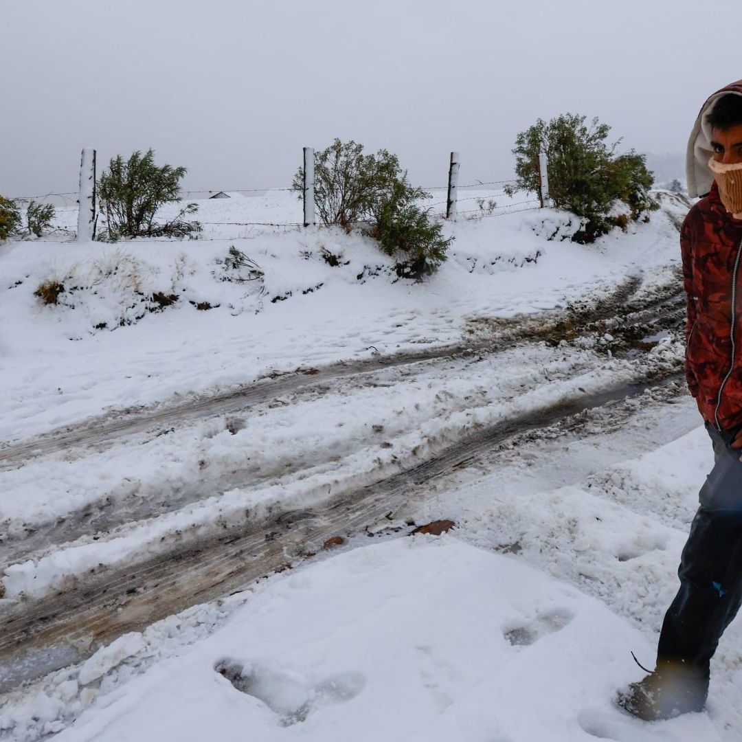 Pronóstico del Tiempo HOY Martes 3 de Diciembre de 2024: Mitad del País con Bajas Temperaturas