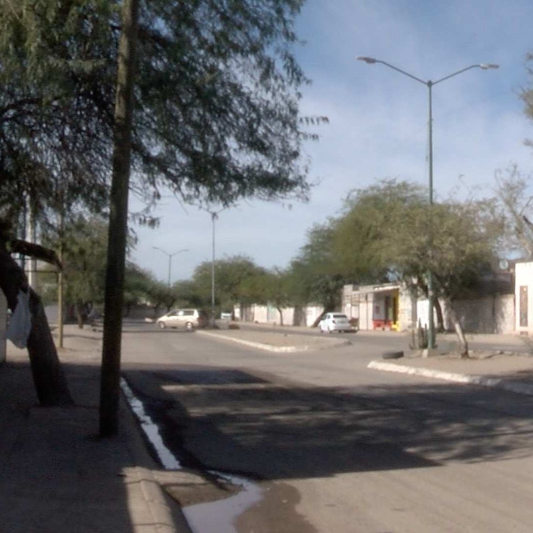 Sujeto Detenido Por Golpear a un Peatón con Un Palo en Colonia Villa Verde de Hermosillo