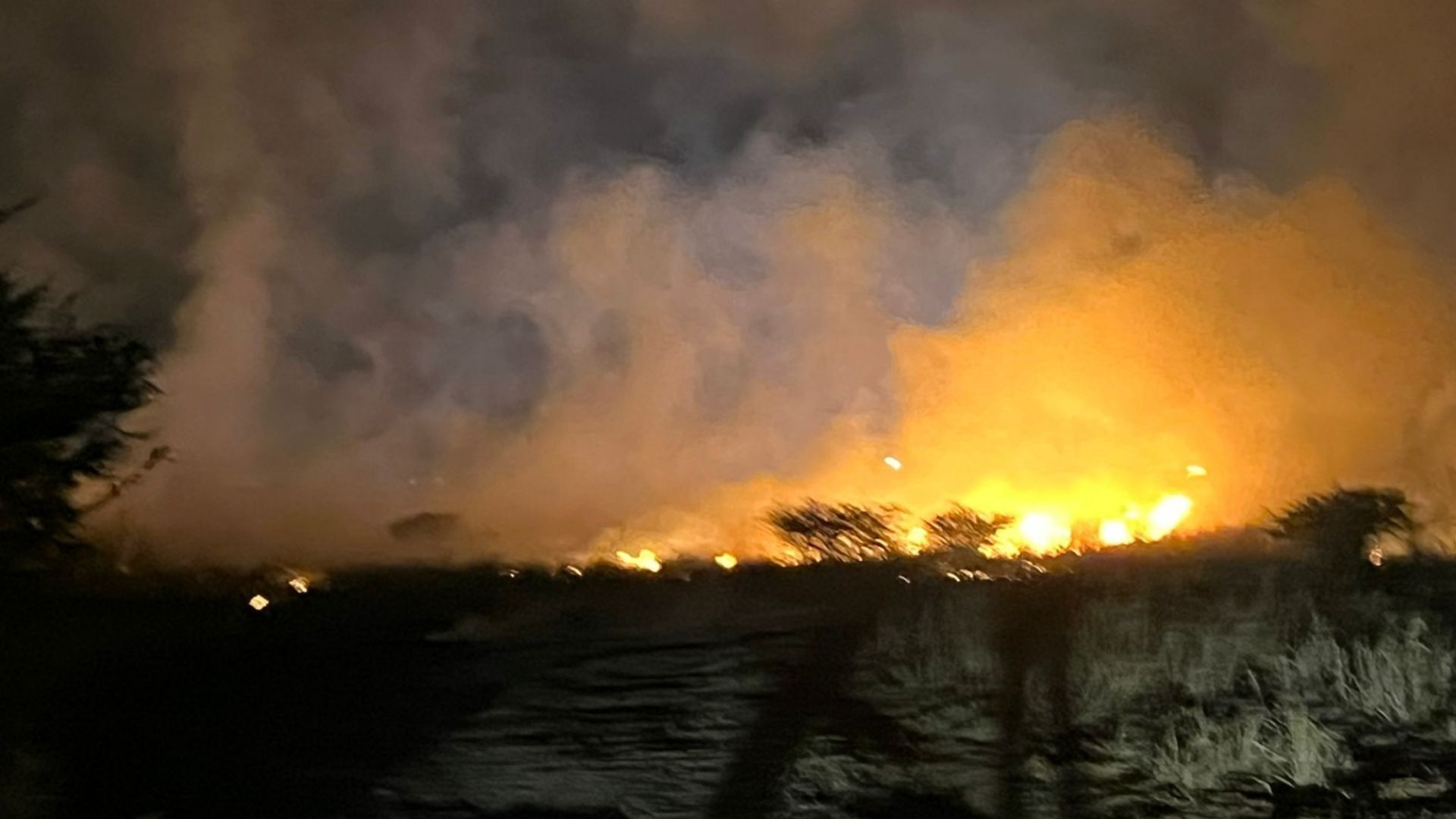 incendio en pastizal
