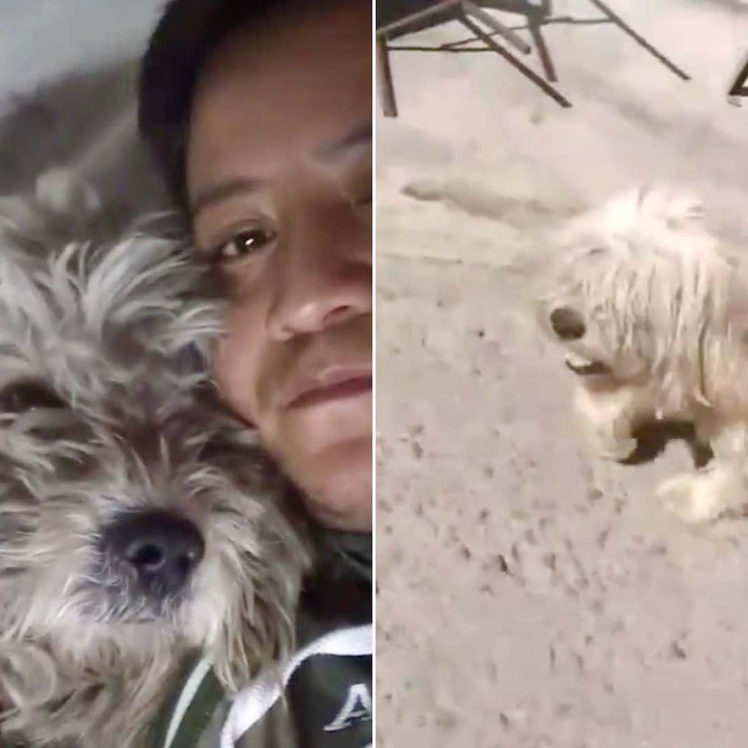 Che junto a su perro Alushe, quien falleció en septiembre