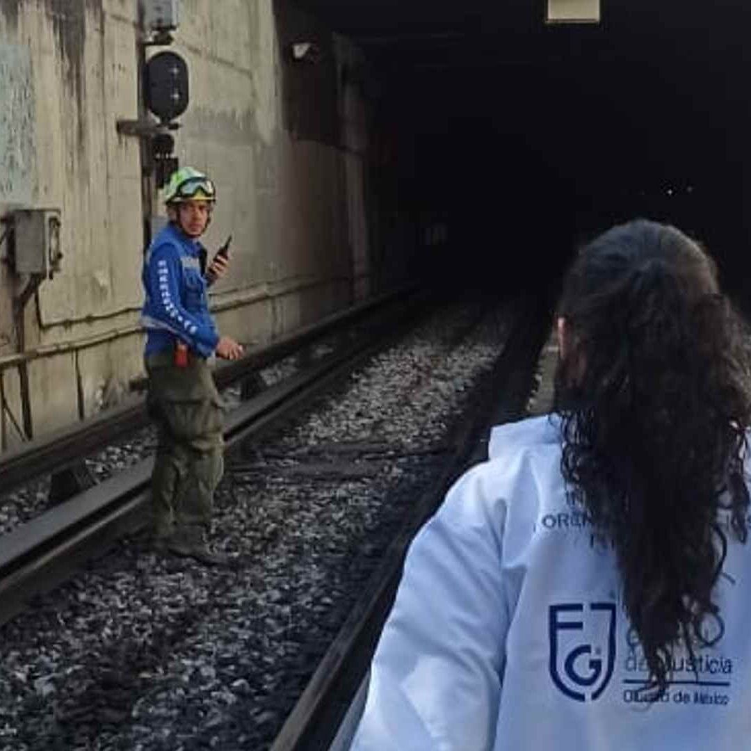 Un convoy permanece parado en el túnel que conecta las estaciones Potrero y La Raza