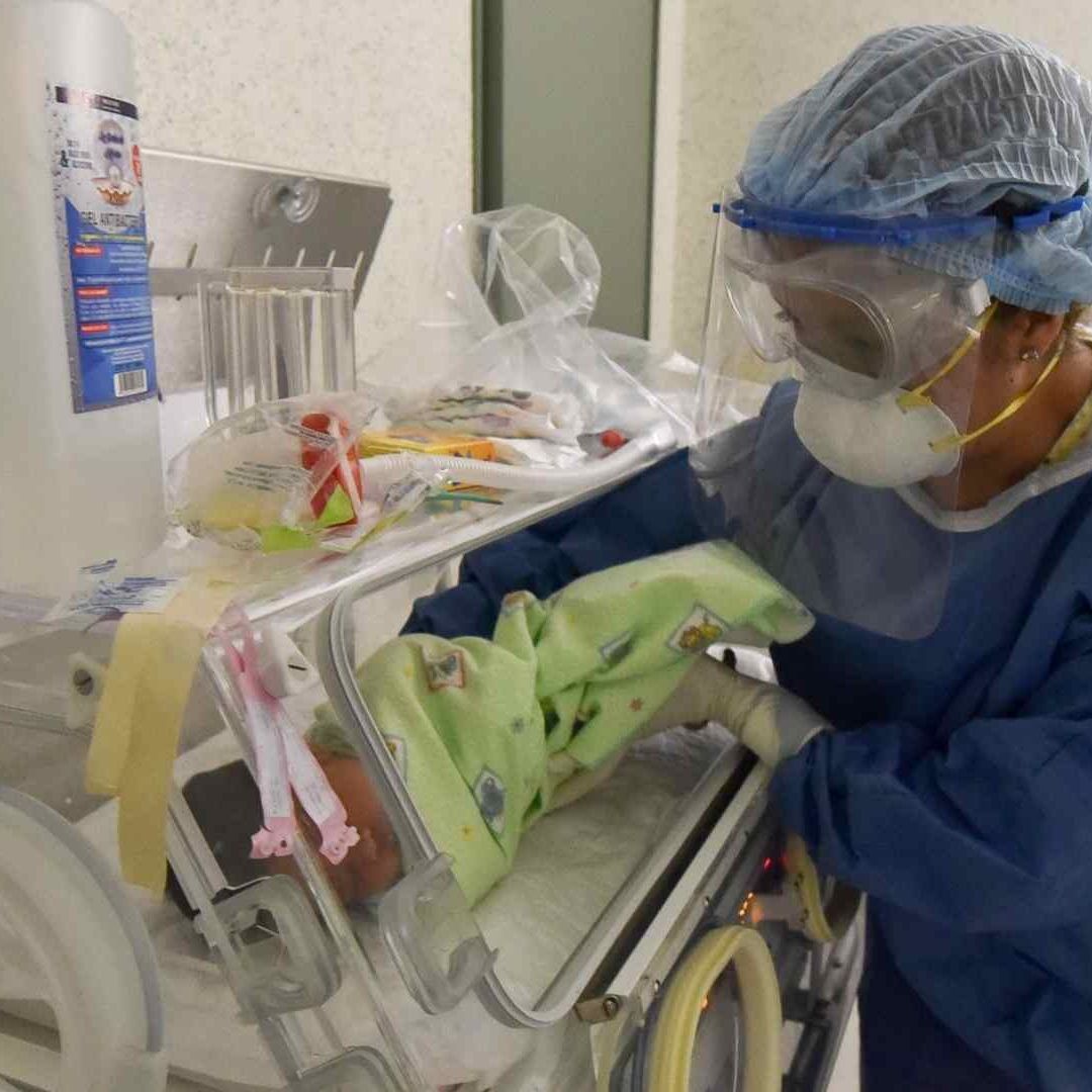 La investigación preliminar de un lote de alimentación parental no arrojó "hallazgos críticos".