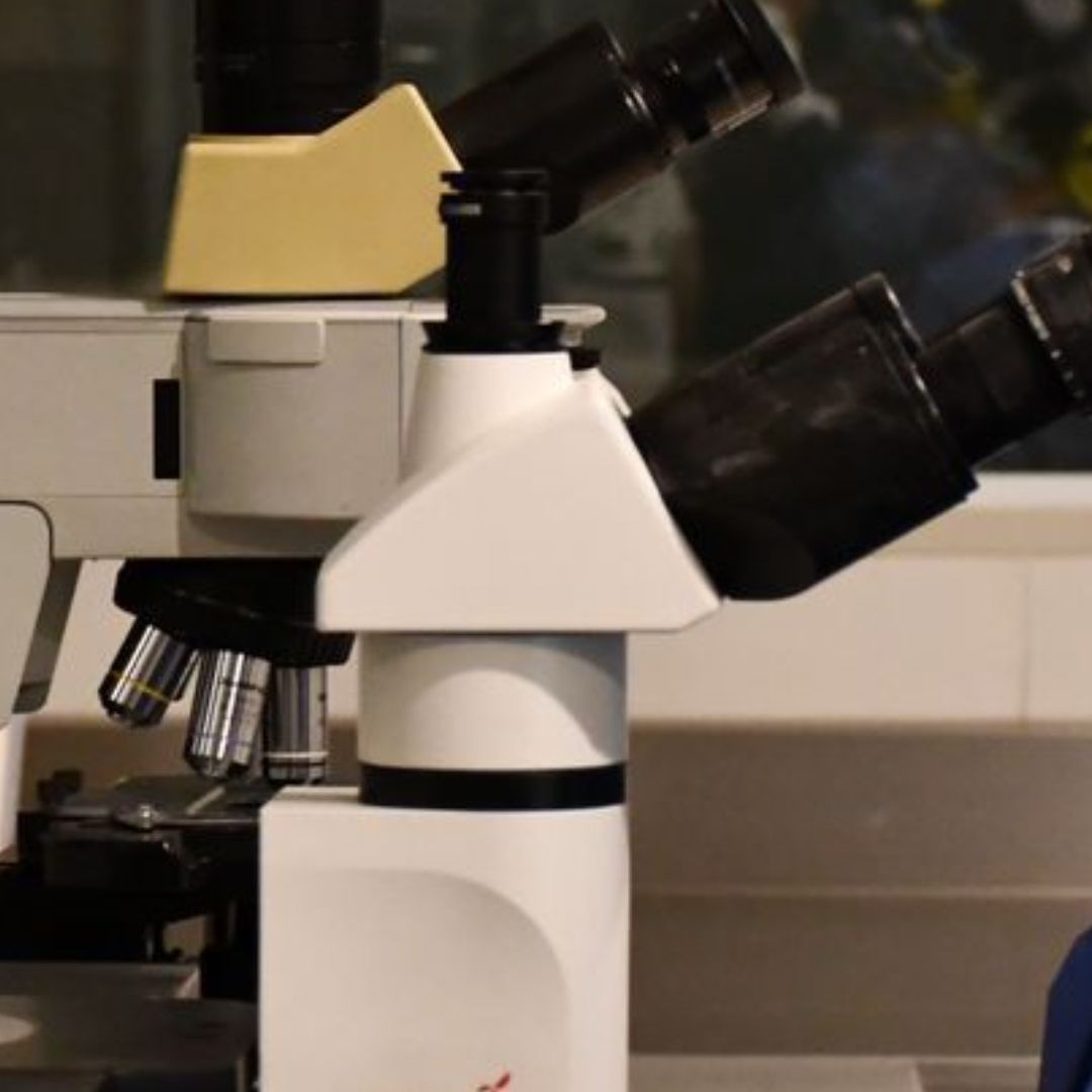 Habrá Castigo a Responsables por Brote de Bacteria Klebsiella Oxytoca, Asegura Sheinbaum